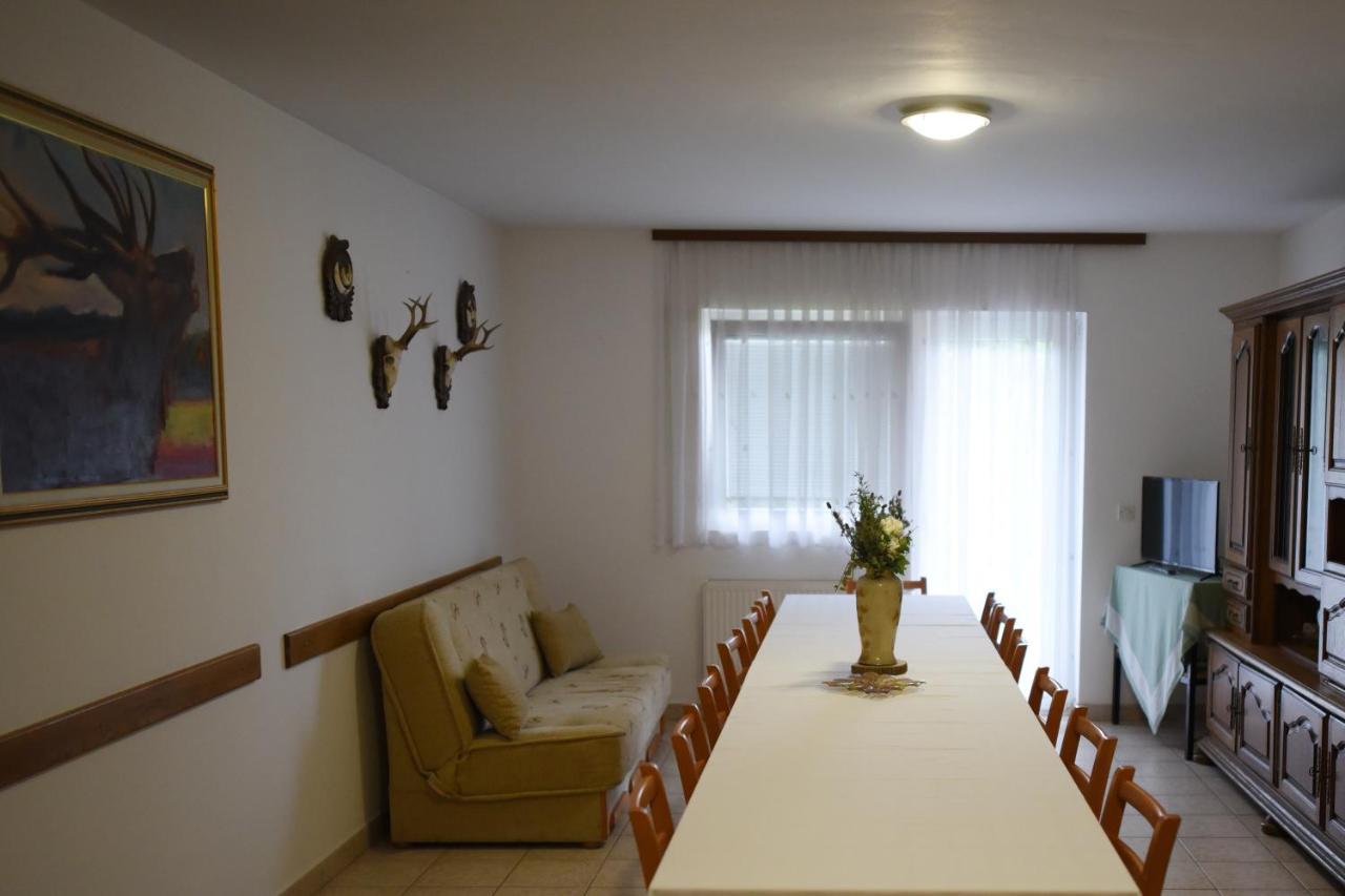 Prenociste Dzinic Hotel Zsupanya Kültér fotó
