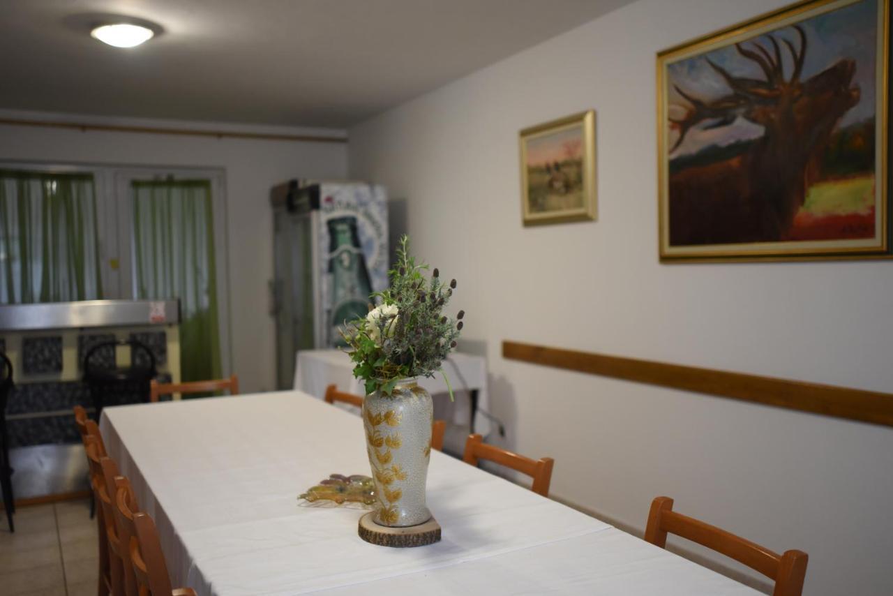 Prenociste Dzinic Hotel Zsupanya Kültér fotó