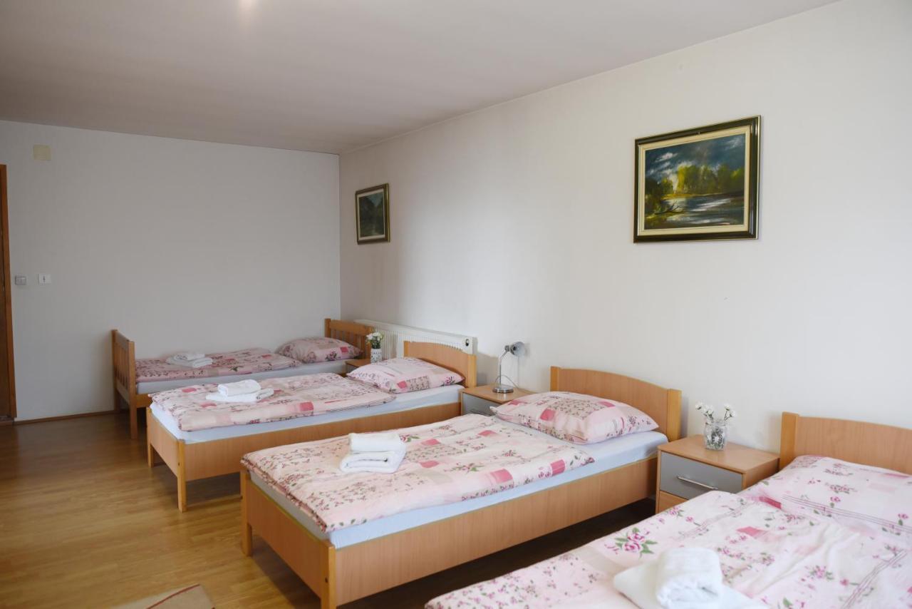 Prenociste Dzinic Hotel Zsupanya Kültér fotó